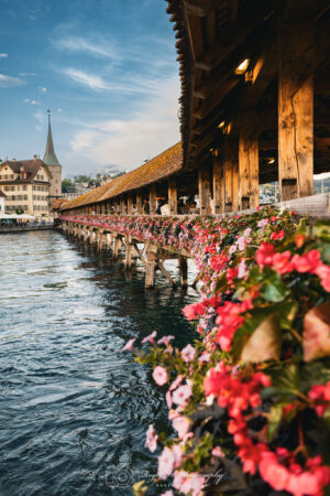 Kapellbrücke mit Blumen, Digitale Bilddatei als Download